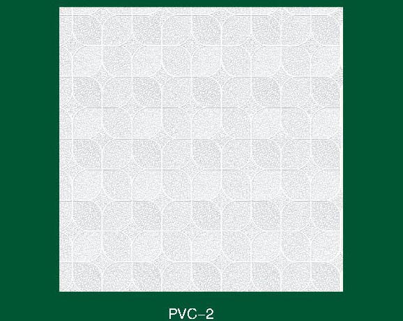 PVC-2